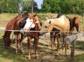 LITTLE FOREST RANCH, NATUR PUR MIT REITMÖGLICHKEIT